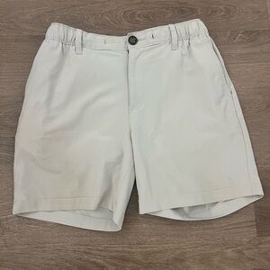 Chubbies Shorts 6”